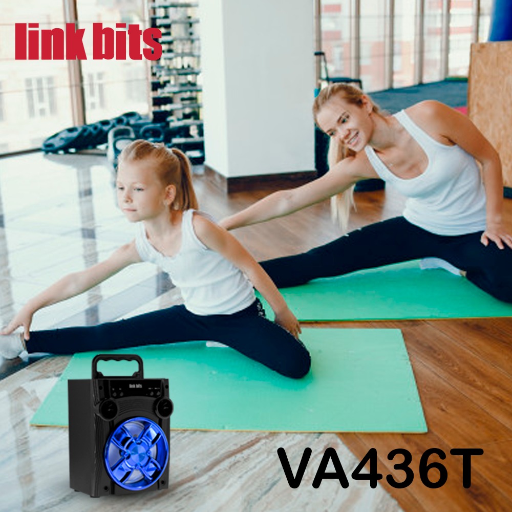 BOCINA VA436T 